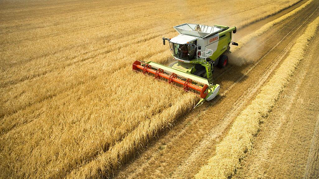 ARCHIV - Ein Claas-M?hdrescher f?hrt am 16.07.2013 in Br?nen (Nordrhein-Westfalen) ?ber ein Feld. Die Landwirte aus Westfalen-Lippe ziehen am Donnerstag ihre Ernte-Bilanz f?r das laufende Jahr.  Foto: Arnulf Stoffel/dpa +++(c) dpa - Bildfunk+++