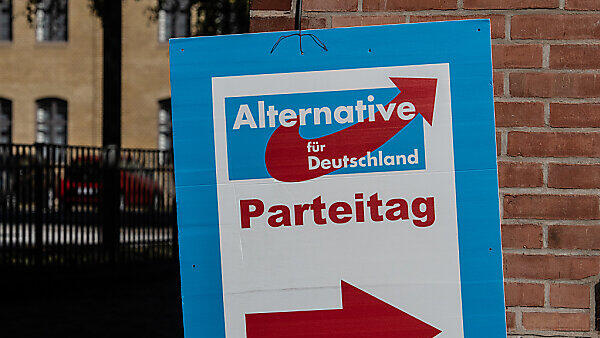Die Partei legt einen Zähler auf 17 Prozent zu