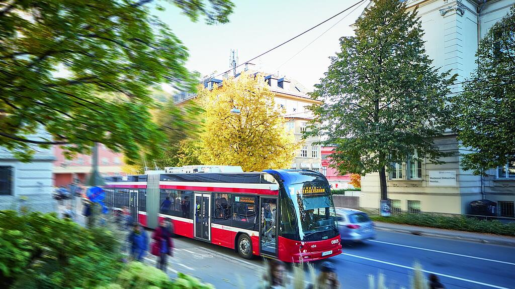 symb_Obus