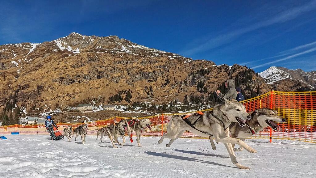 Schlittenhunderennen in Sportgastein