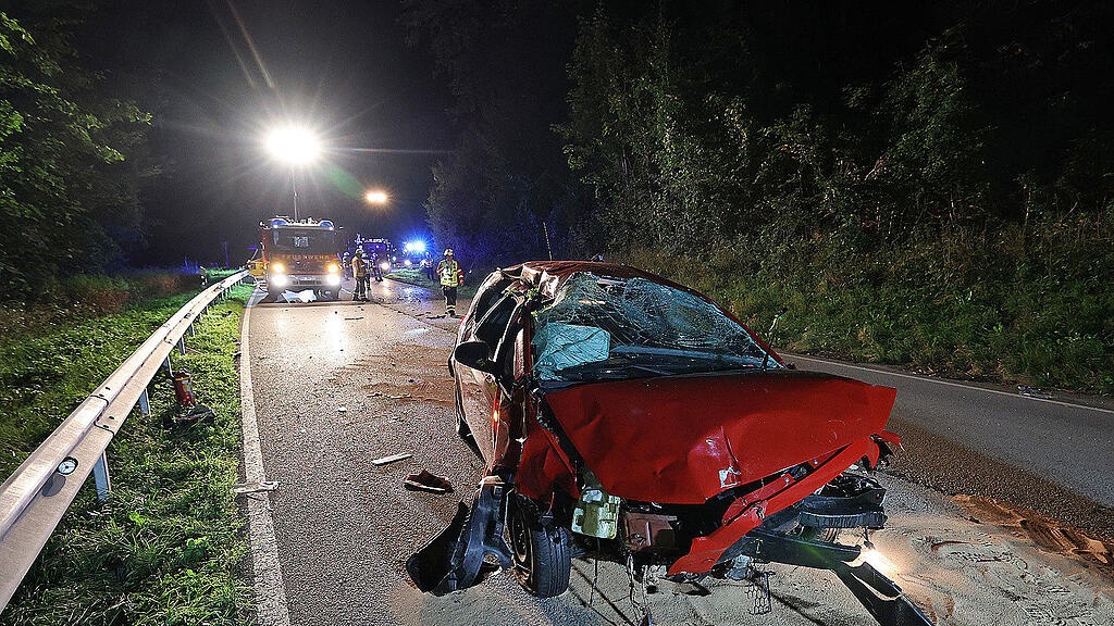 Reh_Unfall_Piding