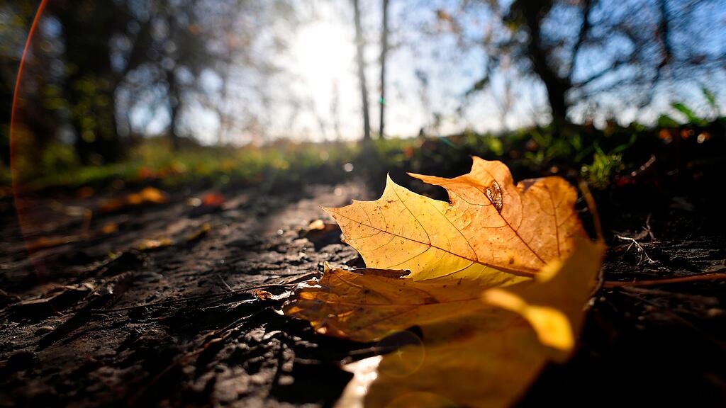symb_herbst