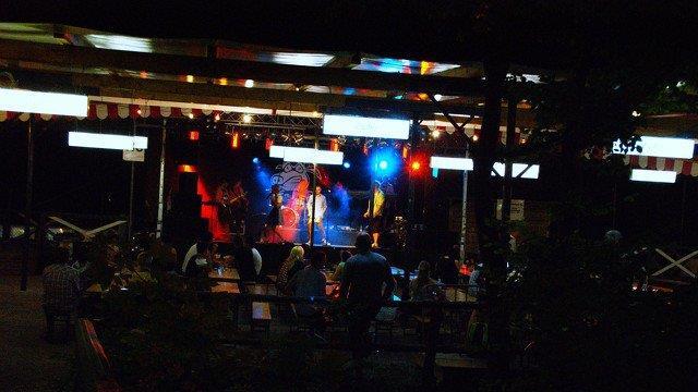 Hallwanger Waldfest I