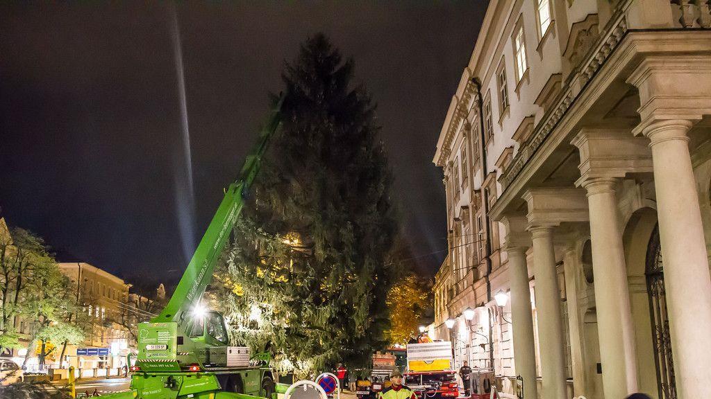Christbaumaufstellen vor dem Schloss Mirabell