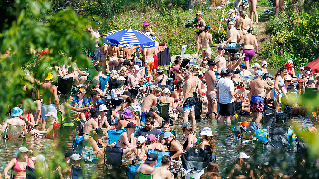 Frequency Festival