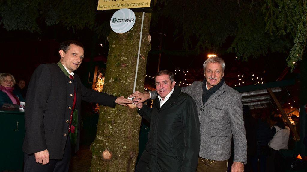 Christbaum Schloss Mirabell