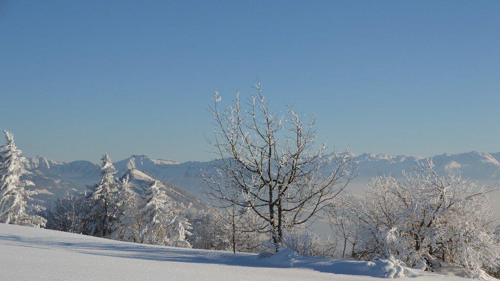Winterspaziergang am Gaisberg