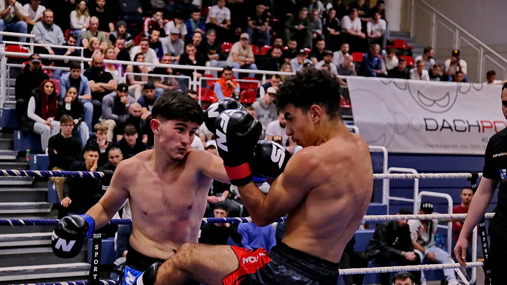 Salzburger Fight Night 2022