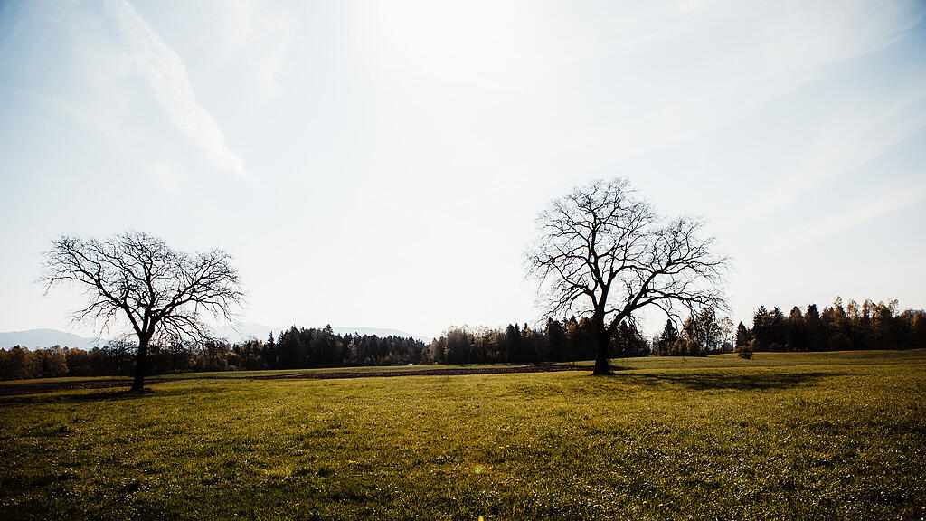 SB, Spazieren, Spaziergang, Wiese
