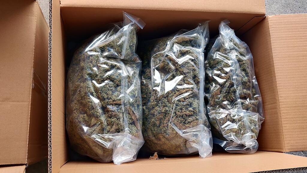 Zoll Salzburg: Kiloweise Cannabis / Marihuana