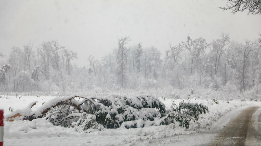 symb_winter_schnee