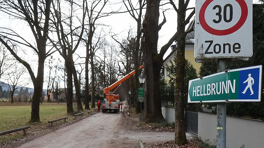 Sturm Sabine, Sperren im Stadtgebiet