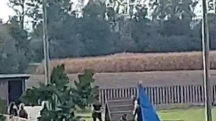 Screenshot_20231017-042029_Video Editor.jpg