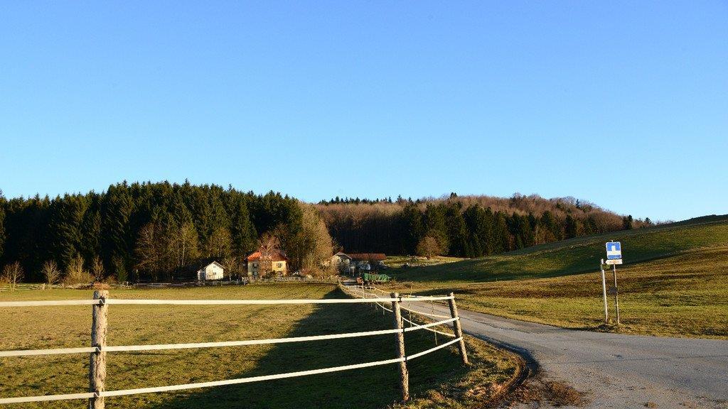 Frühlingserwachen im Flachgau