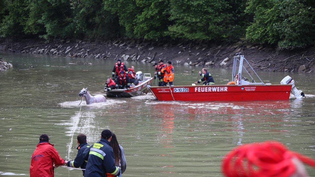 Pferderettung durch die Feuerwehr