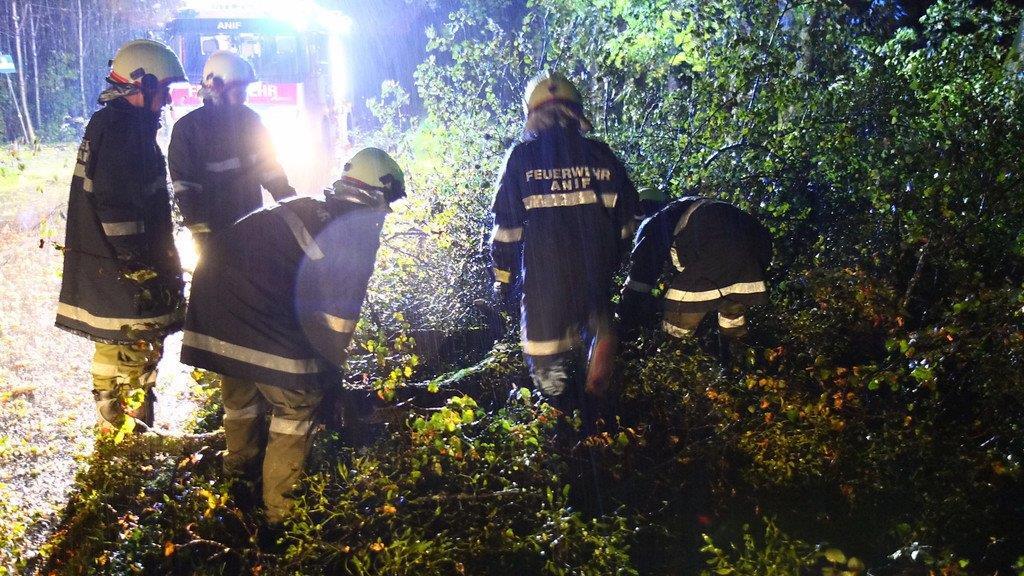 Sturm über Salzburg: Umgestürzter Baum in Anif