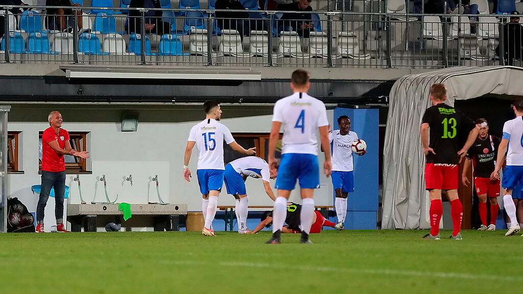 Grödig, Seekirchen, Regionalliga