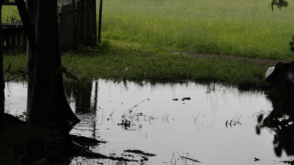 Hochwasser: Lage im Lkr. Traunstein angespannt