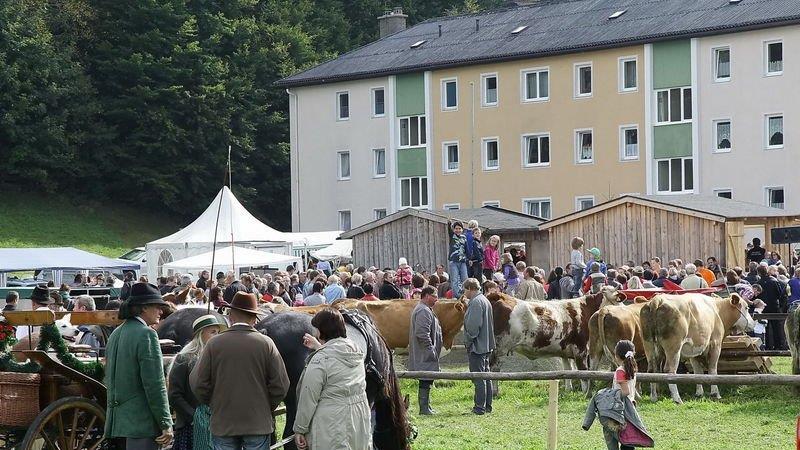Michaelimarkt in Straßwalchen