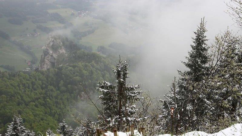 Winterimpressionen vom Gaisberg