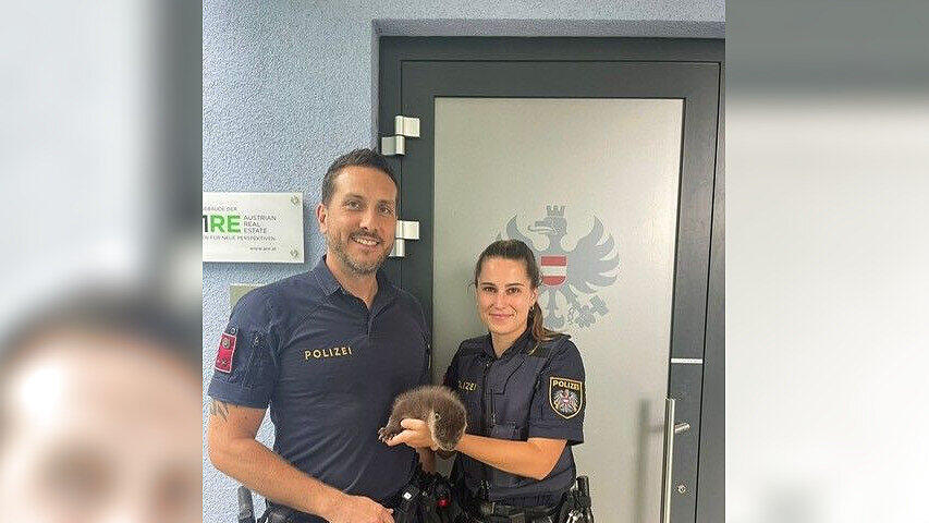 Fischotter bei Polizei Oberndorf