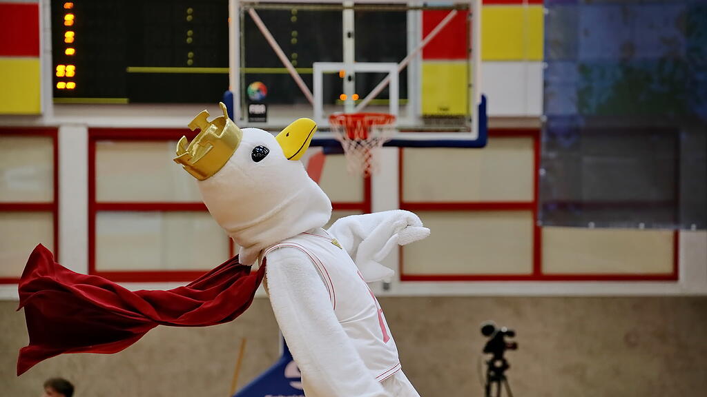 Basketball: Österreich-Zypern