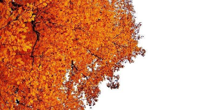 Goldener Oktober in Salzburg