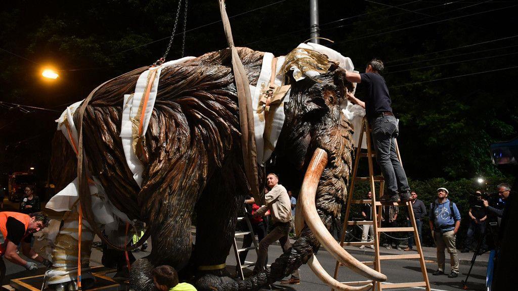 Mammut schwebt über Salzburg I
