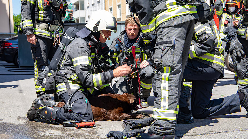 20210617_fmt_brand_rosseggerstrasse_mw-18.jpg