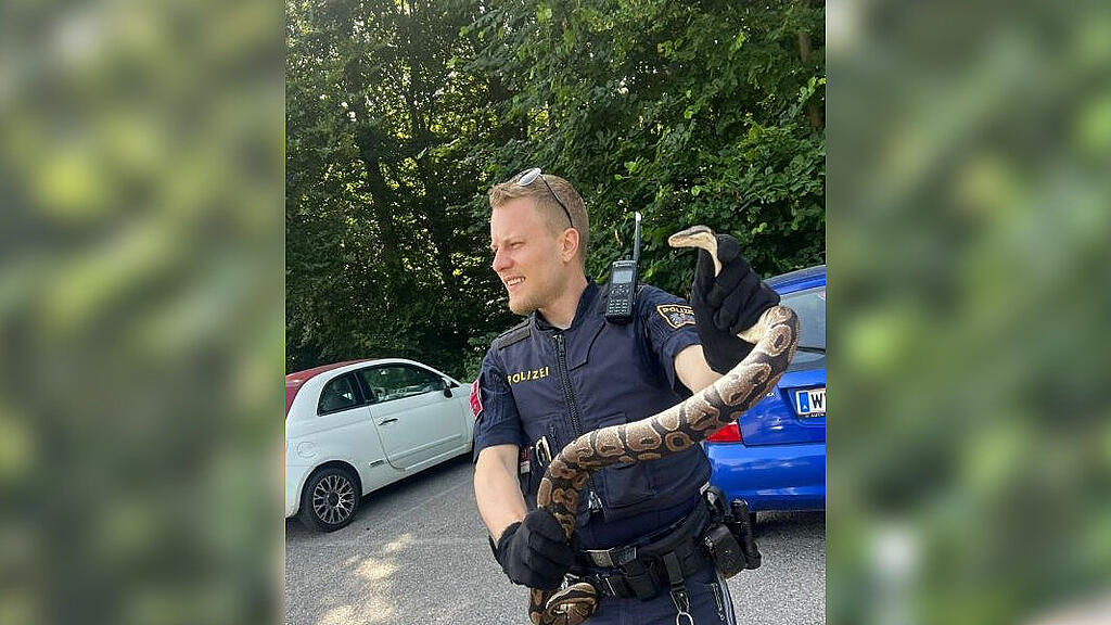 Python Wien