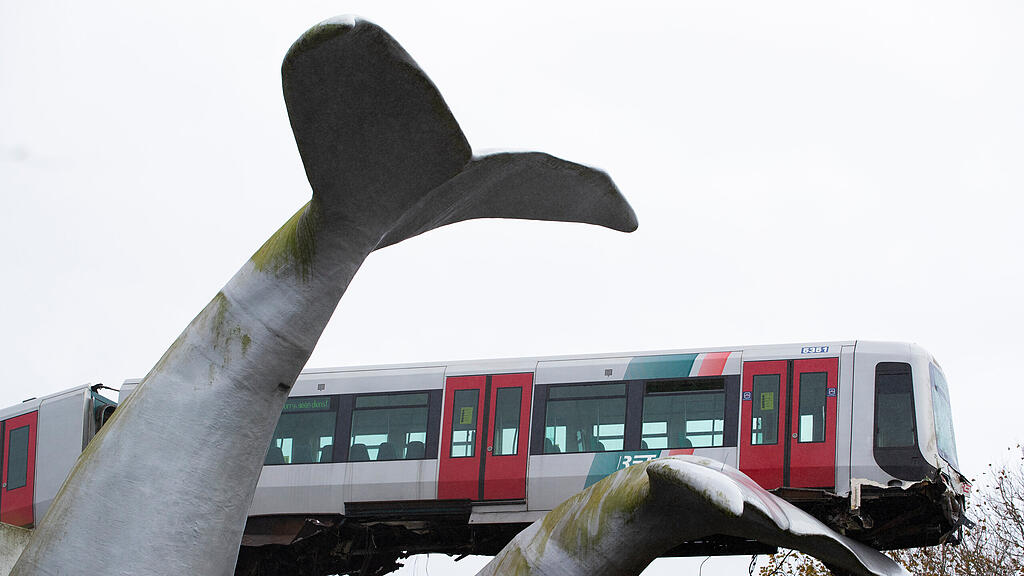 Wal fängt Bahn in Niederlanden