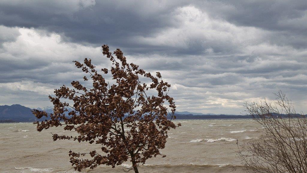 Niklas fegt über Chiemsee