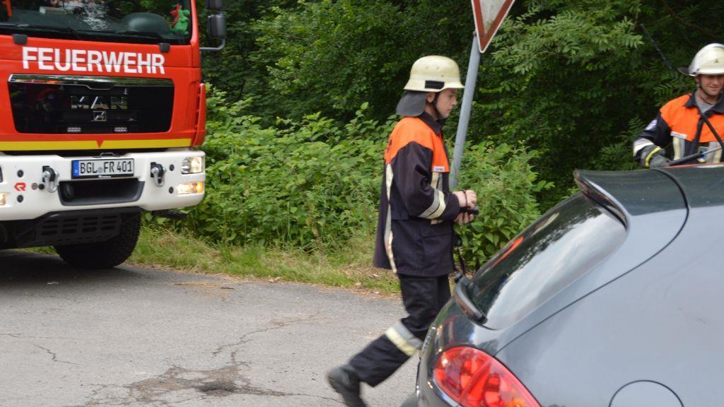 Pinzgauerinnen in Bayern verletzt, I