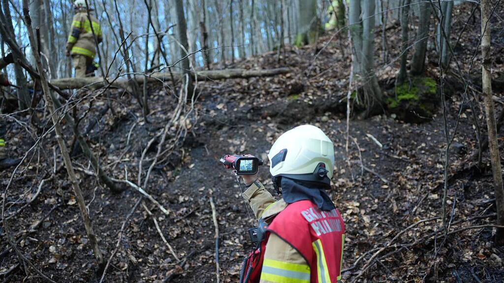 Flurbrand in Hallwang-Mayrwies