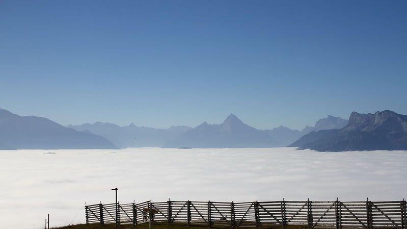 Mehr Bilder vom Gaisberg