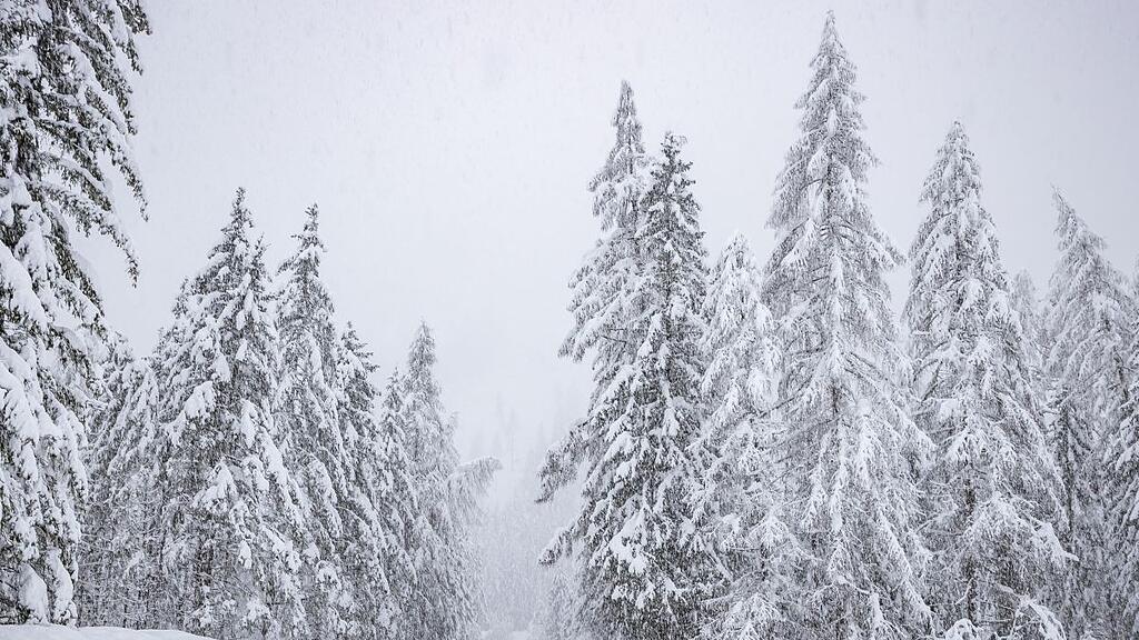 Schnee, Neuschnee, Kals, Gro\u00dfglockner,