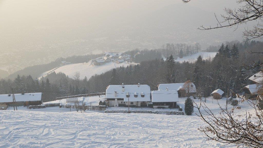 Winterspaziergang am Gaisberg