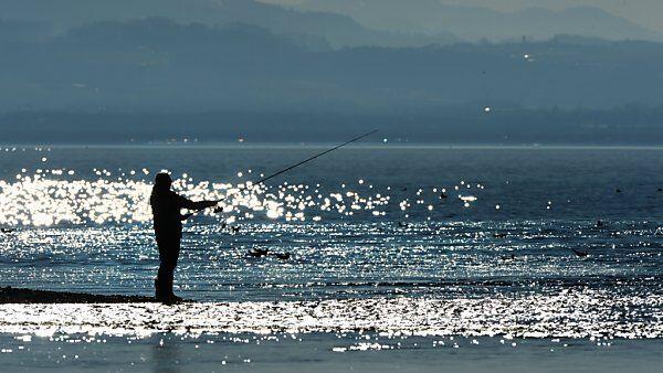 Fischer am Bodensee