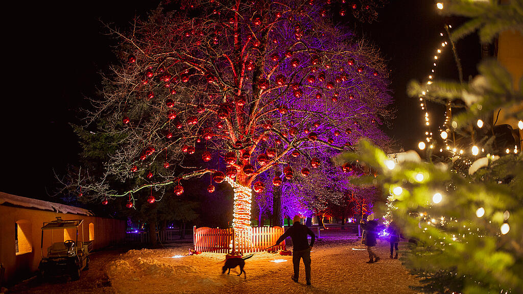 Hellbrunner Adventzauber