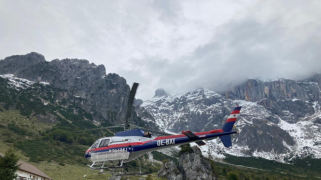 Libelle.jpg