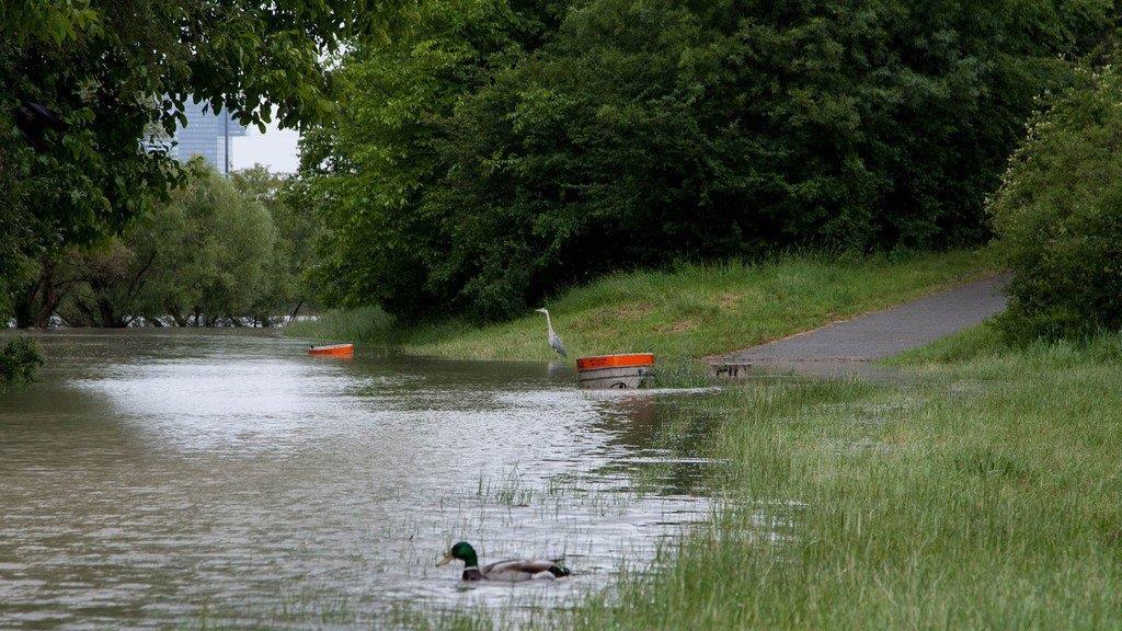Hochwasser in Wien
