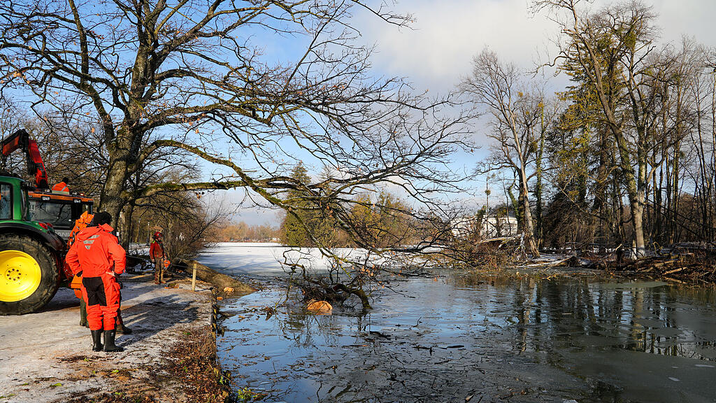 20250116_fmt_baumfaellung_Lepiweiher_mw-15.jpg