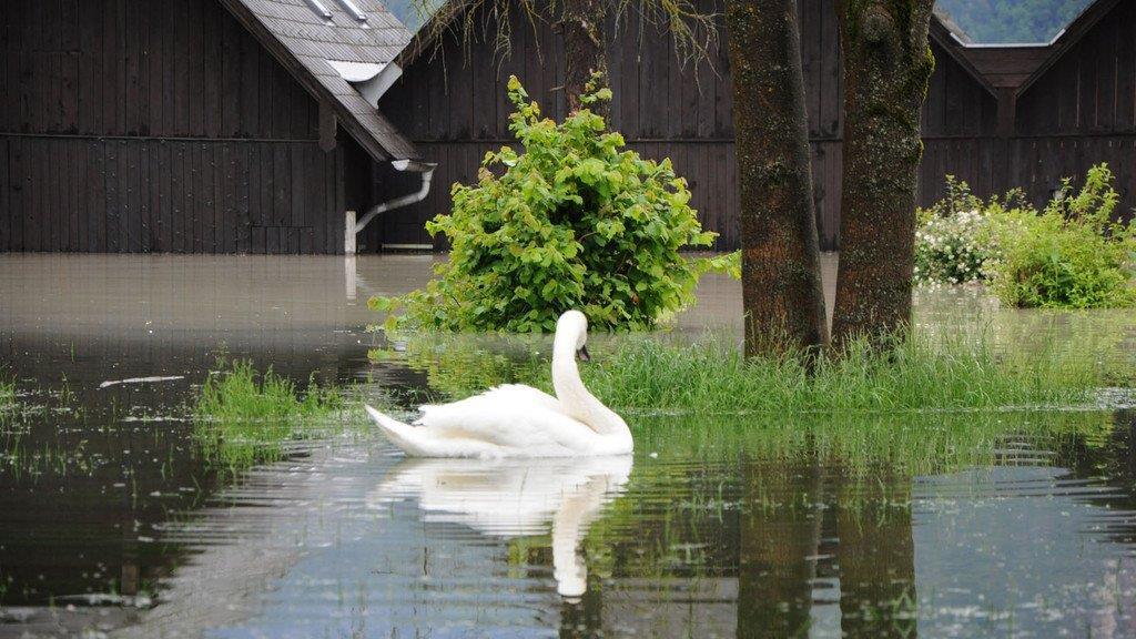 Aufräumen in Ebensee