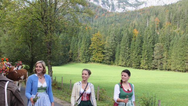 Bilder vom Almabtrieb