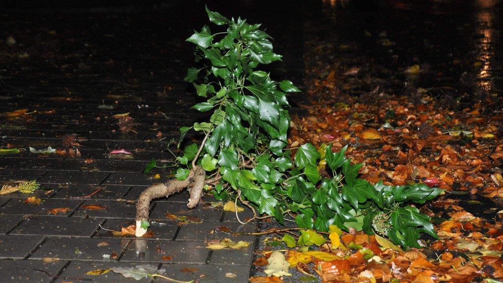 Sturm: Einsätze in Bad Reichenhall