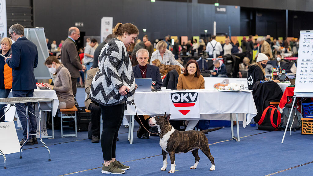 Internationale Hundeausstellung Salzburg 2022