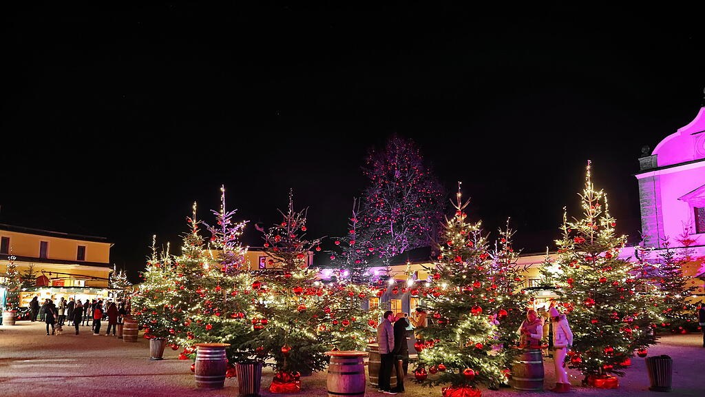 20231123fmt_hellbrunn_ta_019.JPG