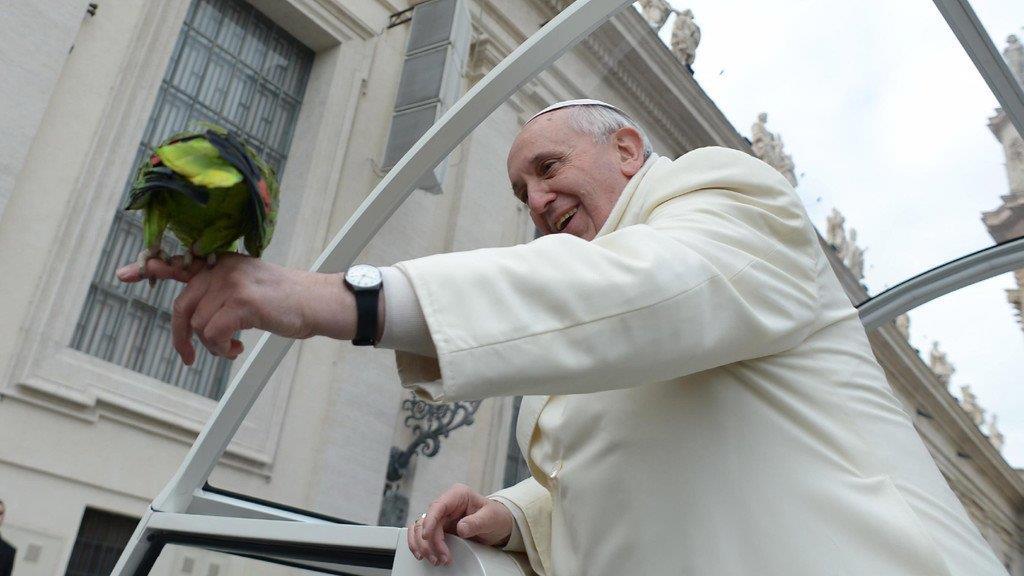 Papst Franziskus, Superstar