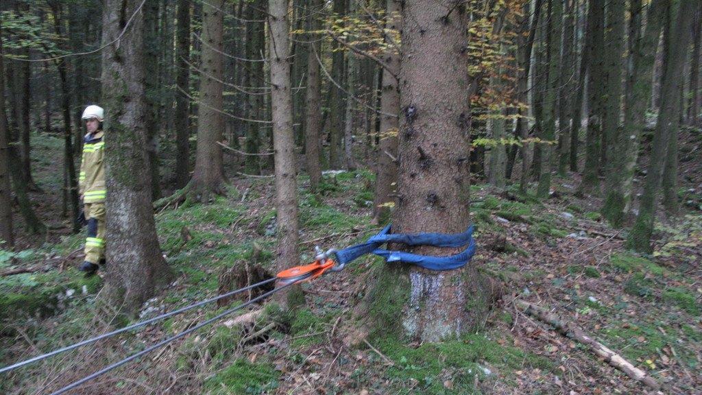 Bilder der Feuerwehr