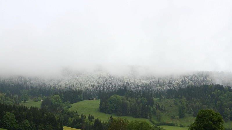 Winterimpressionen vom Gaisberg